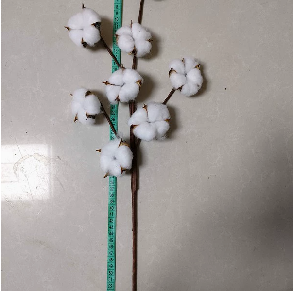 Artificial Cotton Stem for Decor
