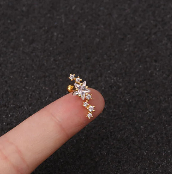 Stainless Steel Star Zirconia Screw Earrings (Pierced)