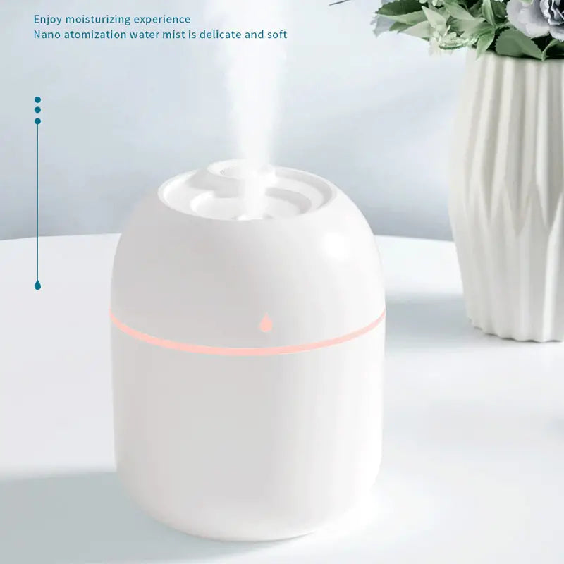 Portable Mini USB Cool Mist Humidifier for Home