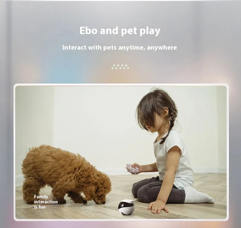 Pet Monitoring Camera
