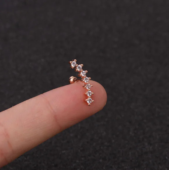 Stainless Steel Star Zirconia Screw Earrings (Pierced)