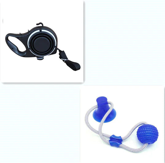 Travel Pet Kit with Water Bottle & Leash