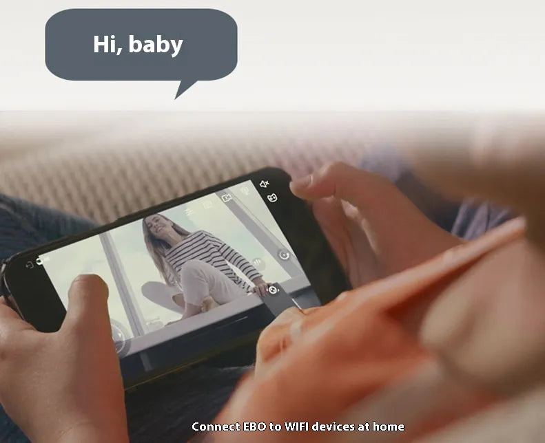 Pet Monitoring Camera