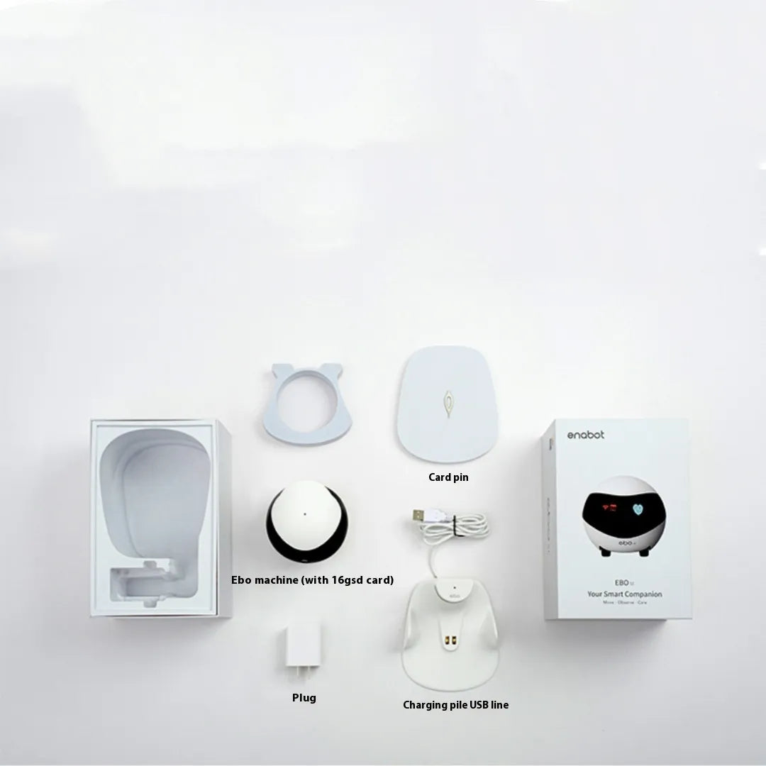 Pet Monitoring Camera