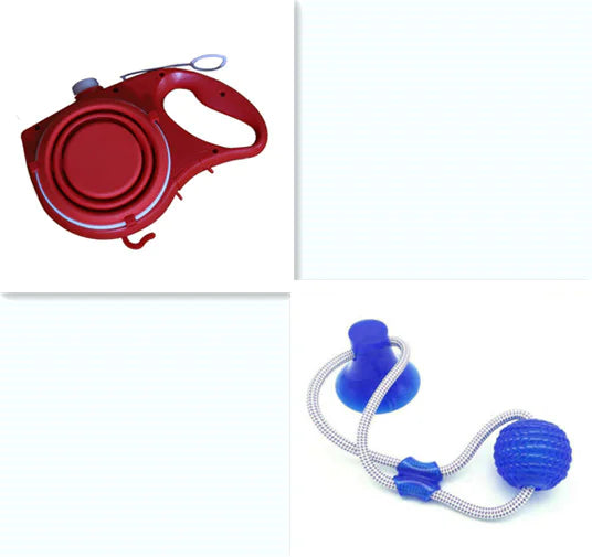 Travel Pet Kit with Water Bottle & Leash